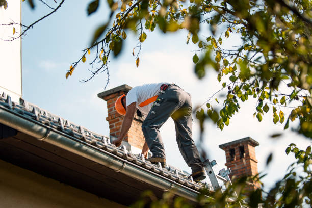 Best Metal Roofing Contractor  in Sandwich, IL